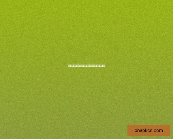 女枪手加点推荐与玩法解析提升输出与生存能力的完美平衡